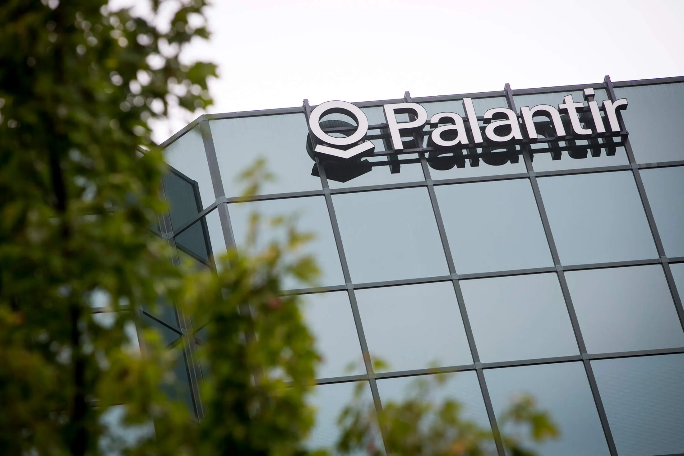 Análisis Fundamental: Palantir Technologies Inc (PLTR)